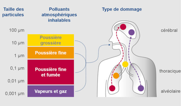 Schéma expliquant les effets des aérosols sur l'homme